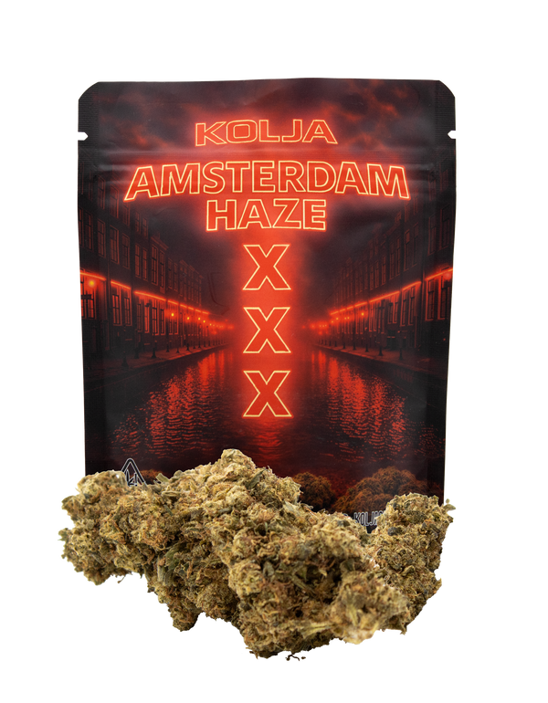 Amsterdam Haze – Premium HHZ Blüten
